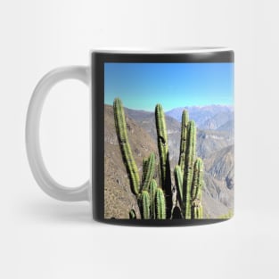 Pérou - Arequipa - Canyon de Colca Mug